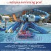 octopus swimming  pool