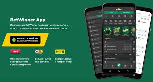 BetWinner vs BC.Game Which Online Betting Platform is Right for You